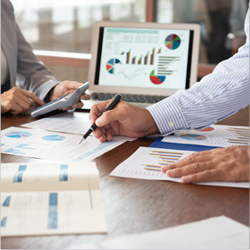 SantoAgro business plan