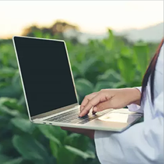 SantoAgro holding rural